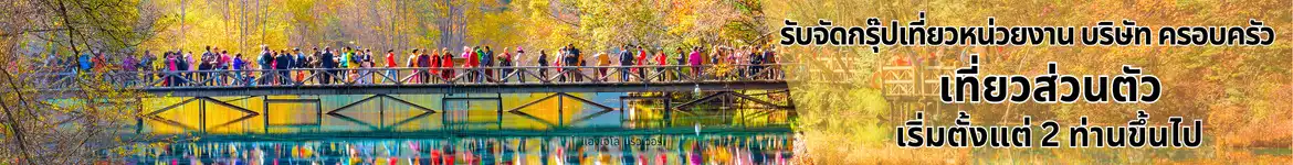 พอใจ เอเจนซี่