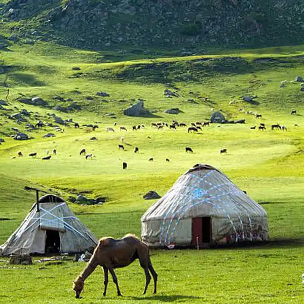 ทัวร์มองโกเลีย