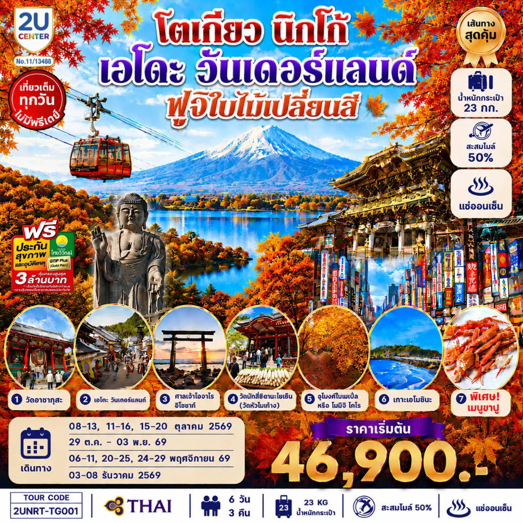 ทัวร์ญี่ปุ่น โตเกียว นิกโก้ เอโดะ วันเดอร์แลนด์  ฟูจิเปลี่ยนสี 6วัน 3คืน  (TG)